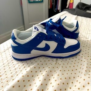 Kentucky Nike dunk low